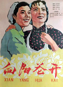 韩国高清不卡一区二区